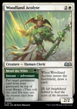 Woodland Acolyte // Mend the Wilds - Woodland Acolyte // Mend the Wilds - [WOE] [NM] [Foil]