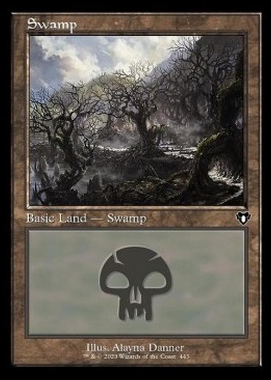 Swamp (V.1) - Swamp (V.1) - [XCMM] [NM]