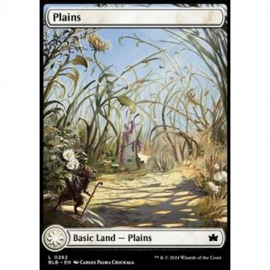 Plains (V.1) - Plains (V.1) - [BLB] [NM]
