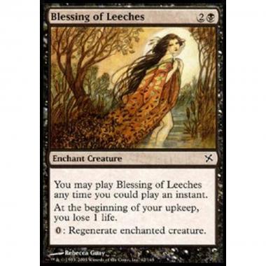 Blessing of Leeches - Blessing of Leeches - [BOK] [NM]