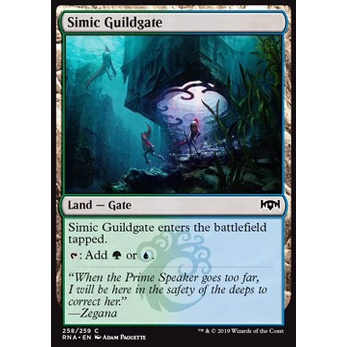 Simic Guildgate (V.2) - Cancello della Gilda Simic (V.2) - [RNA] [NM]