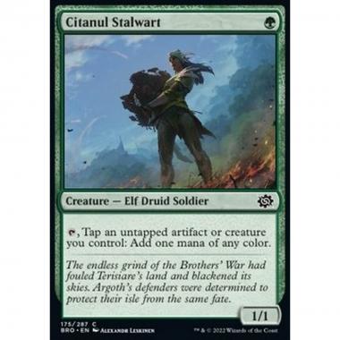 Citanul Stalwart - Citanul Stalwart - [BRO] [NM] [Foil]