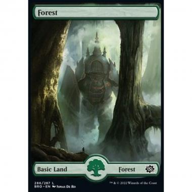 Forest (V.1) - Forest (V.1) - [BRO] [NM] [Foil]