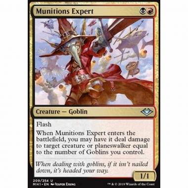 Munitions Expert - Munitions Expert - [MH1] [NM]