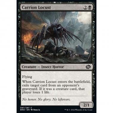 Carrion Locust - Locusta delle Carogne - [BRO] [NM]