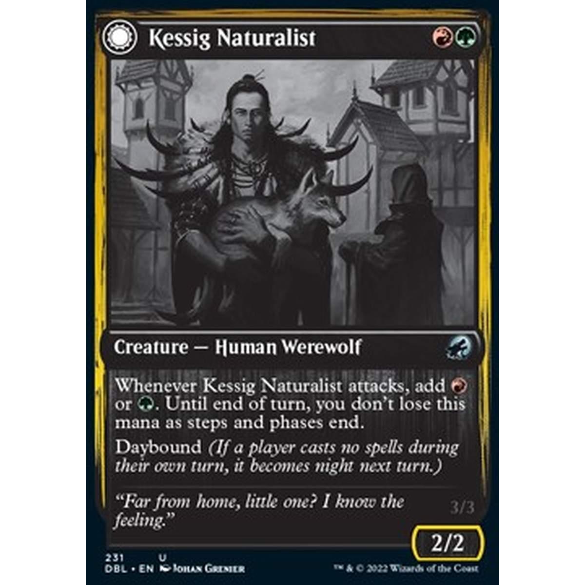 Kessig Naturalist // Lord of the Ulvenwald - Kessig Naturalist // Lord of the Ulvenwald - [DBL] [NM]