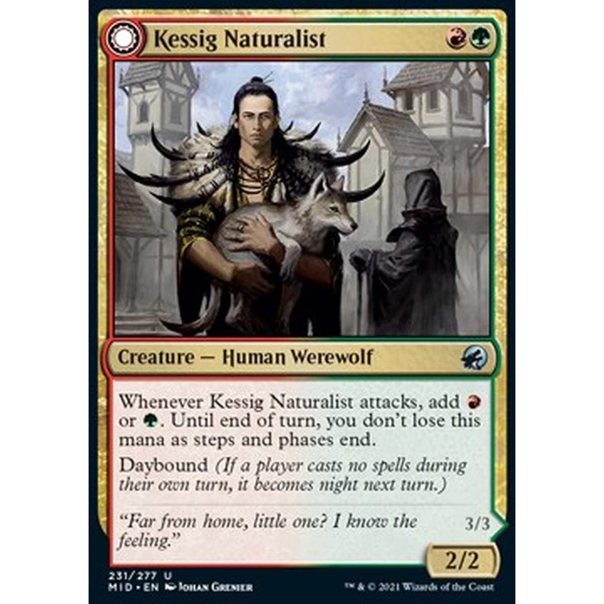 Kessig Naturalist // Lord of the Ulvenwald - Naturalista di Kessig // Signore di Ulvenwald - [MID] [NM] [Foil]