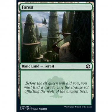 Forest (V.4) - Foresta (V.4) - [AFR] [NM] [Foil]