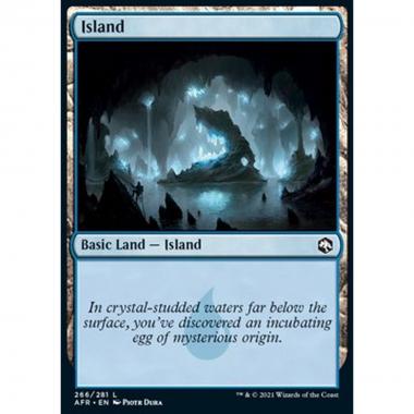 Island (V.1) - Isola (V.1) - [AFR] [NM] [Foil]