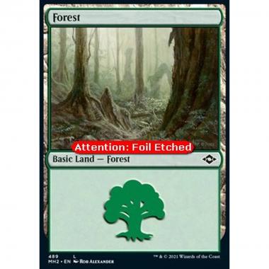 Forest (V.2) - Forest (V.2) - [XMH2] [NM] [Foil]