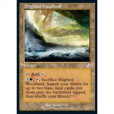 Blighted Woodland - Blighted Woodland - [XTSR] [NM]