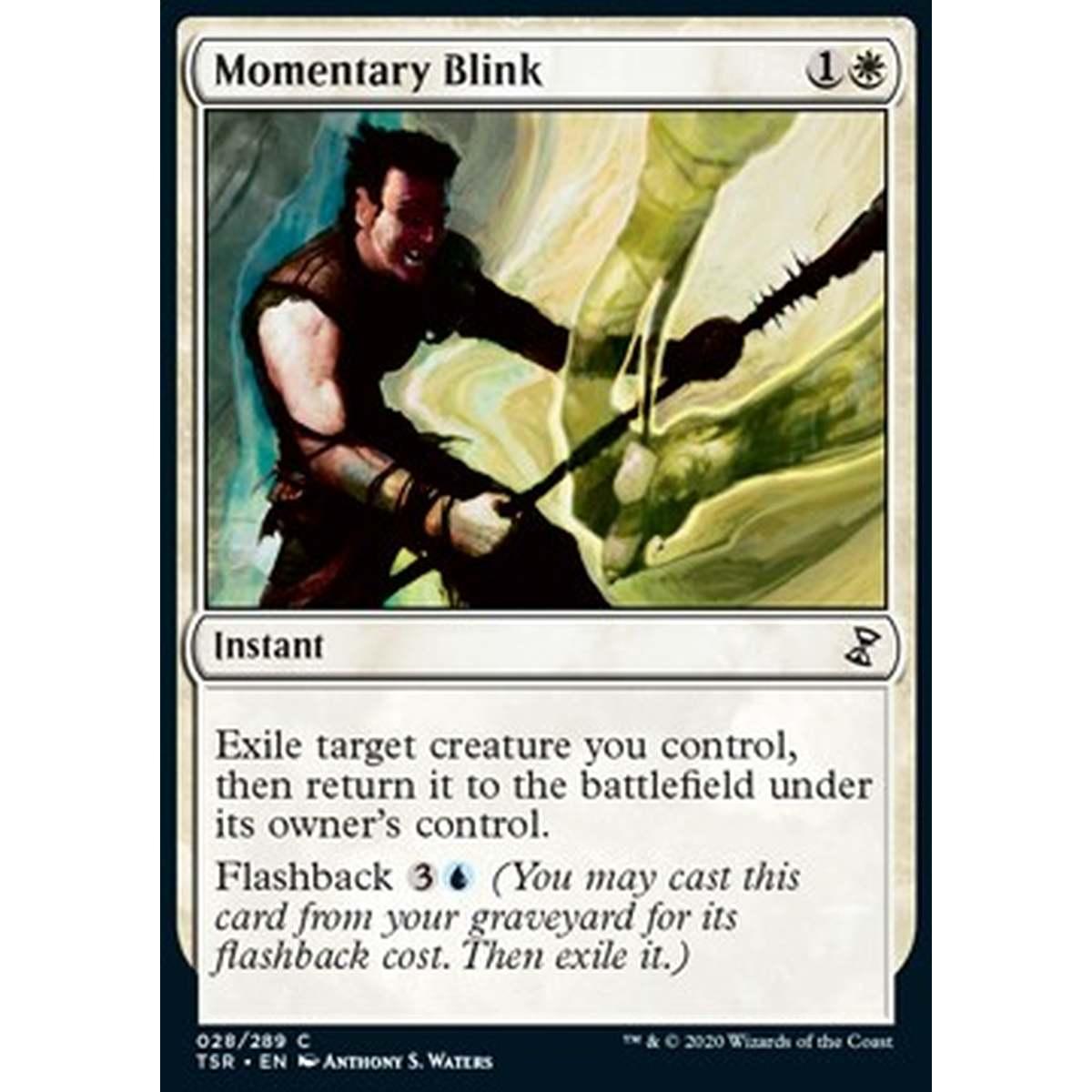 Momentary Blink - Momentary Blink - [TSR] [NM]