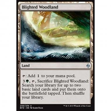 Blighted Woodland - Boscaglia Morente - [BFZ] [NM]