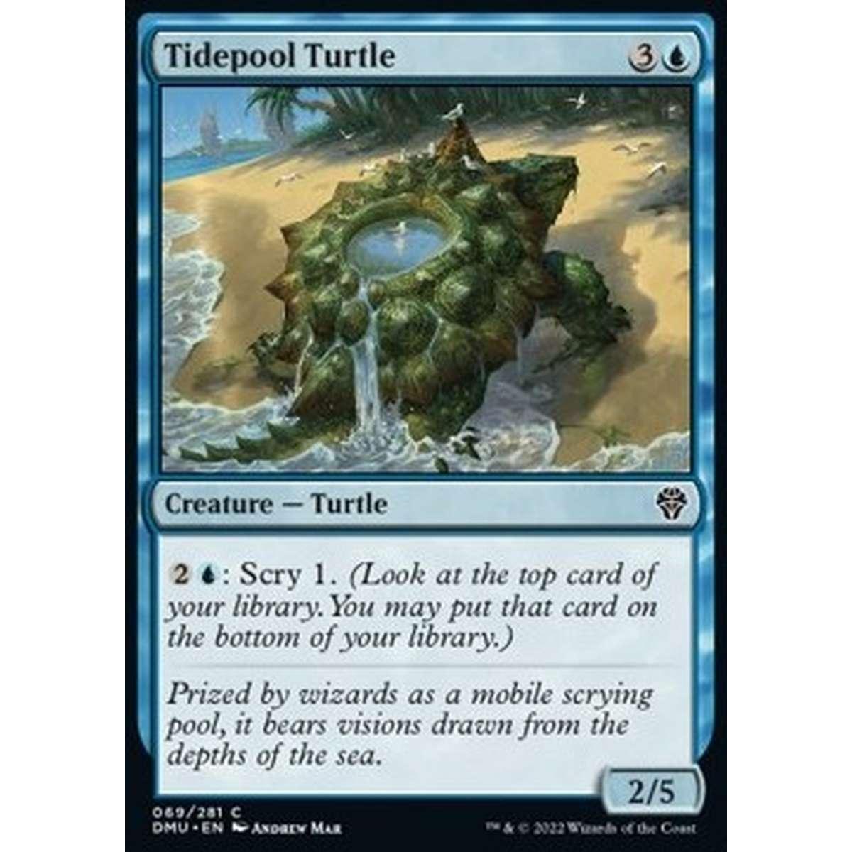 Tidepool Turtle - Testuggine Pozza di Marea - [DMU] [NM]