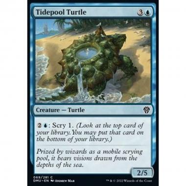 Tidepool Turtle - Testuggine Pozza di Marea - [DMU] [NM]