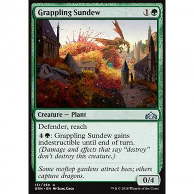 Grappling Sundew - Drosera Avviluppante - [GRN] [NM] [Foil]