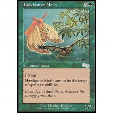 Hawkeater Moth - Hawkeater Moth - [USG] [EX]