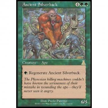 Ancient Silverback - Ancient Silverback - [UDS] [EX]