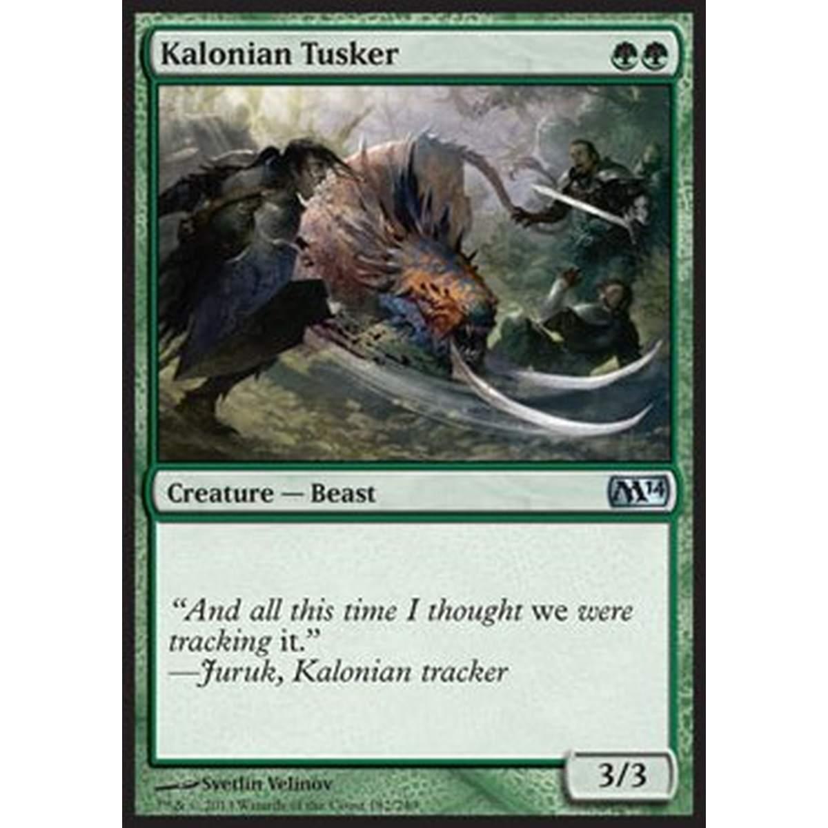 Kalonian Tusker - Zannuto di Kalonia - [M14] [NM]