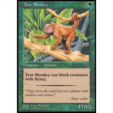 Tree Monkey - Scimmia dei Boschi - [P02] [EX]