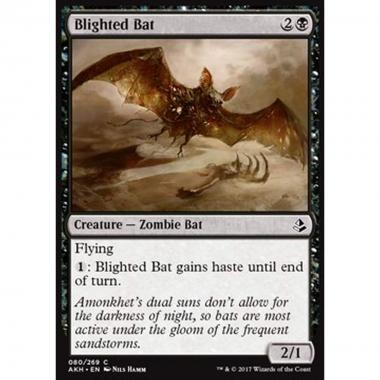 Blighted Bat - Pipistrello Avvizzito - [AKH] [NM] [Foil]