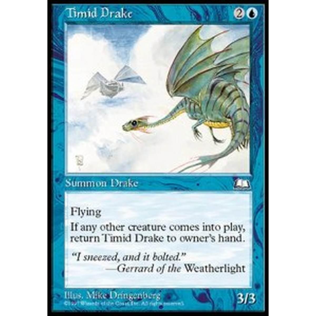 Timid Drake - Timid Drake - [WTH] [EX]