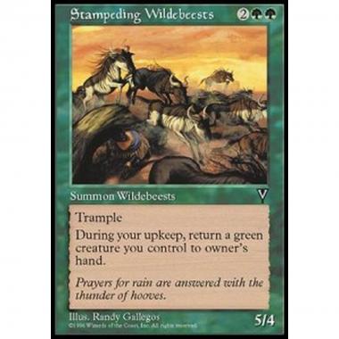 Stampeding Wildebeests - Carica di Gnu - [VIS] [EX]