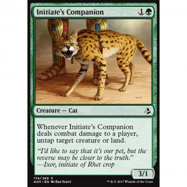 Initiate's Companion - Compagno dell'Iniziato - [AKH] [NM] [Foil]