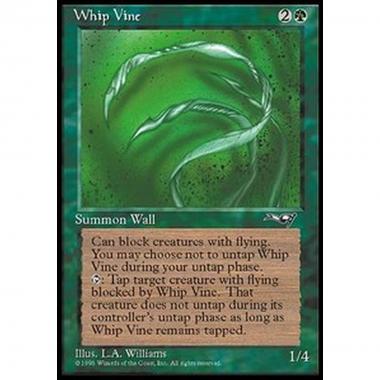 Whip Vine (V.1) - Whip Vine (V.1) - [ALL] [NM]