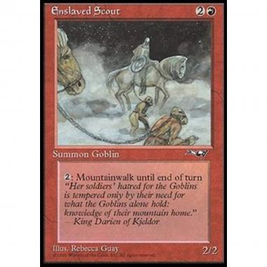 Enslaved Scout (V.1) - Enslaved Scout (V.1) - [ALL] [NM]