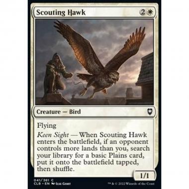Scouting Hawk - Scouting Hawk - [CLB] [NM]