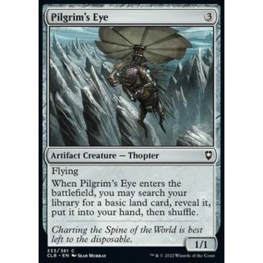 Pilgrim's Eye - Pilgrim's Eye - [CLB] [NM]