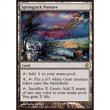 Springjack Pasture - Pascolo delle Pecolepri - [C13] [NM]