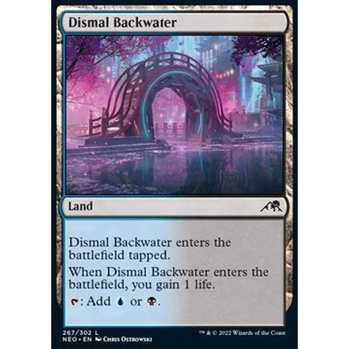 Dismal Backwater - Acquitrino Tetro - [NEO] [NM]