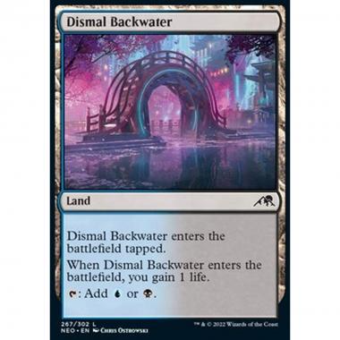 Dismal Backwater - Acquitrino Tetro - [NEO] [NM]