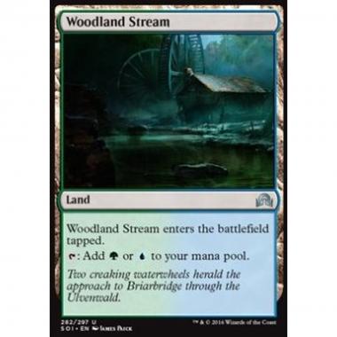 Woodland Stream - Ruscello nel Bosco - [SOI] [NM]