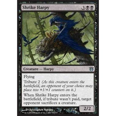 Shrike Harpy - Arpia Av¨rla - [BNG] [NM] [Foil]