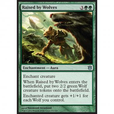 Raised by Wolves - Allevato dai Lupi - [BNG] [NM] [Foil]