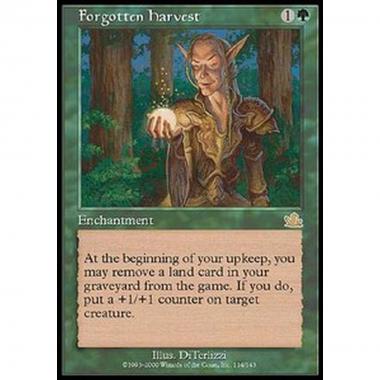 Forgotten Harvest - Raccolto Dimenticato - [PCY] [EX]