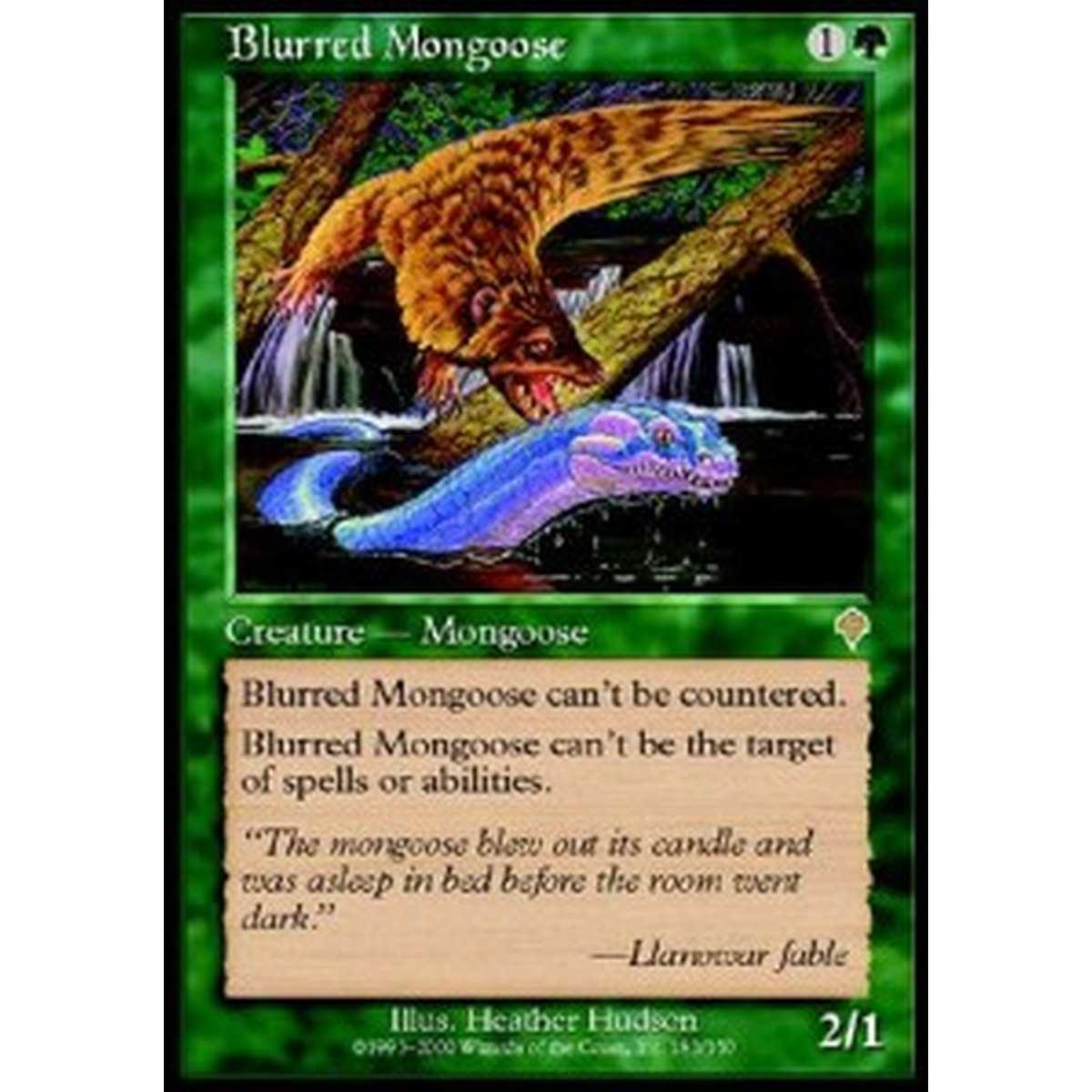 Blurred Mongoose - Mangusta Fulminea - [INV] [EX]