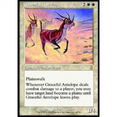 Graceful Antelope - Antilope Leggiadra - [ODY] [EX]