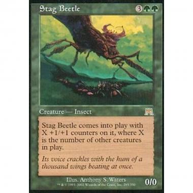 Stag Beetle - Cervo Volante - [ONS] [EX]