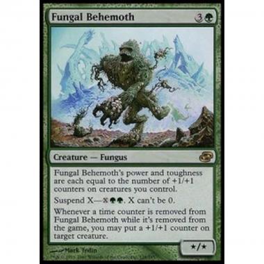 Fungal Behemoth - Behemoth Fungino - [PLC] [NM]
