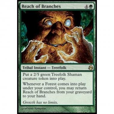 Reach of Branches - Reach of Branches - [MOR] [EX]
