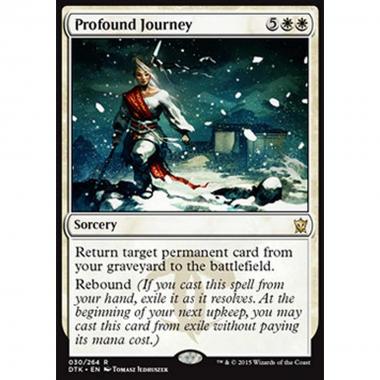 Profound Journey - Viaggio Profondo - [DTK] [NM]