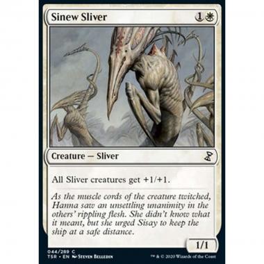 Sinew Sliver - Sinew Sliver - [TSR] [NM]