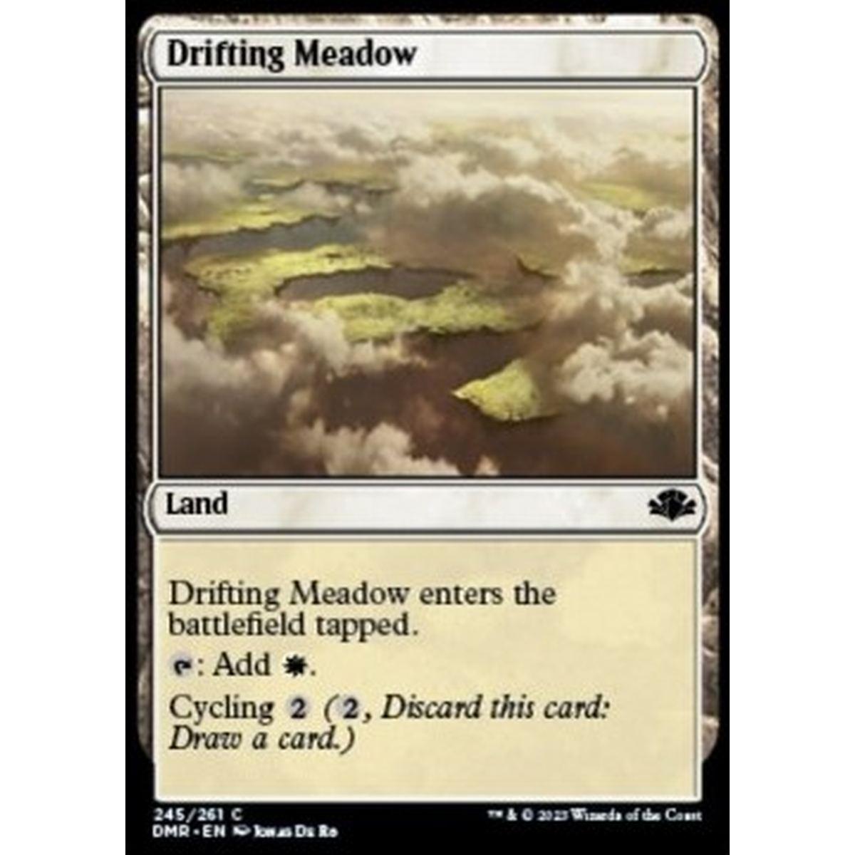 Drifting Meadow - Drifting Meadow - [DMR] [NM] [Foil]