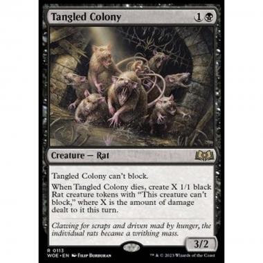 Tangled Colony - Tangled Colony - [WOE] [NM]
