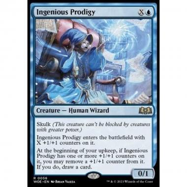 Ingenious Prodigy - Ingenious Prodigy - [WOE] [NM]