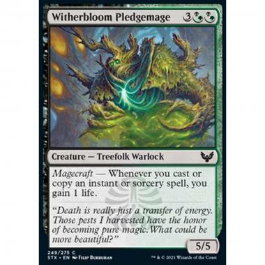 Witherbloom Pledgemage - Mago Iniziato di Germoglioscuro - [STX] [NM]